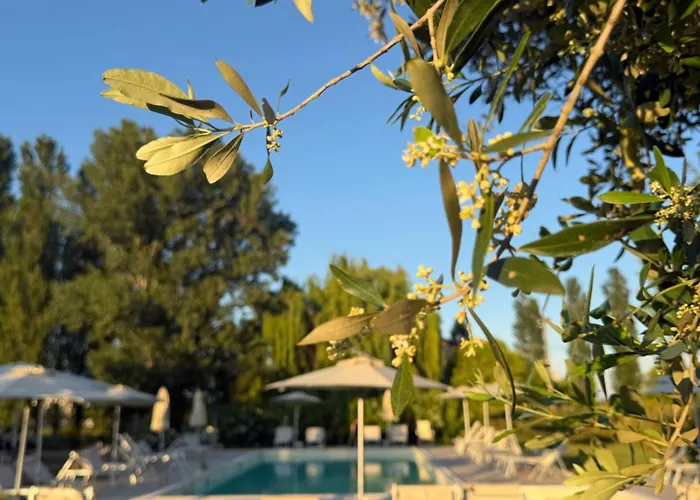 Agriturismo I Bosconi Cesena