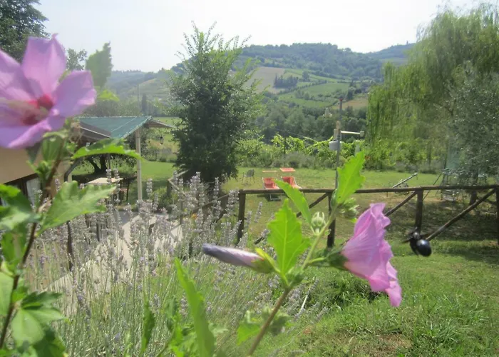 Le Spighe Agriturismo Cesena